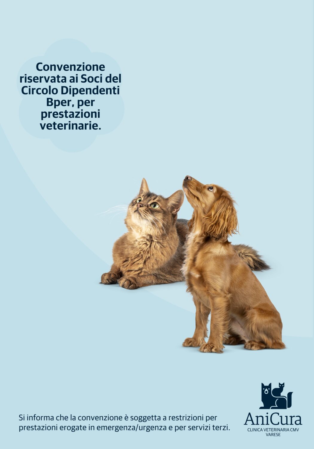 AniCura CLINICA VETERINARIA CMV