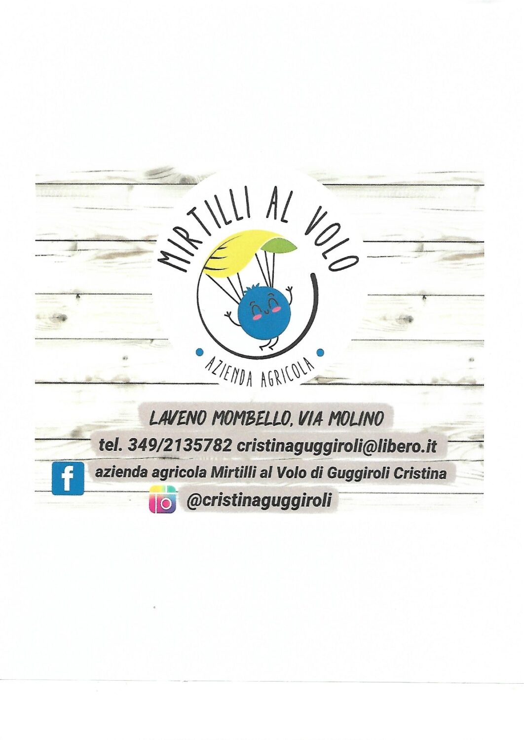 Azienda Agricola MIRTILLI AL VOLO