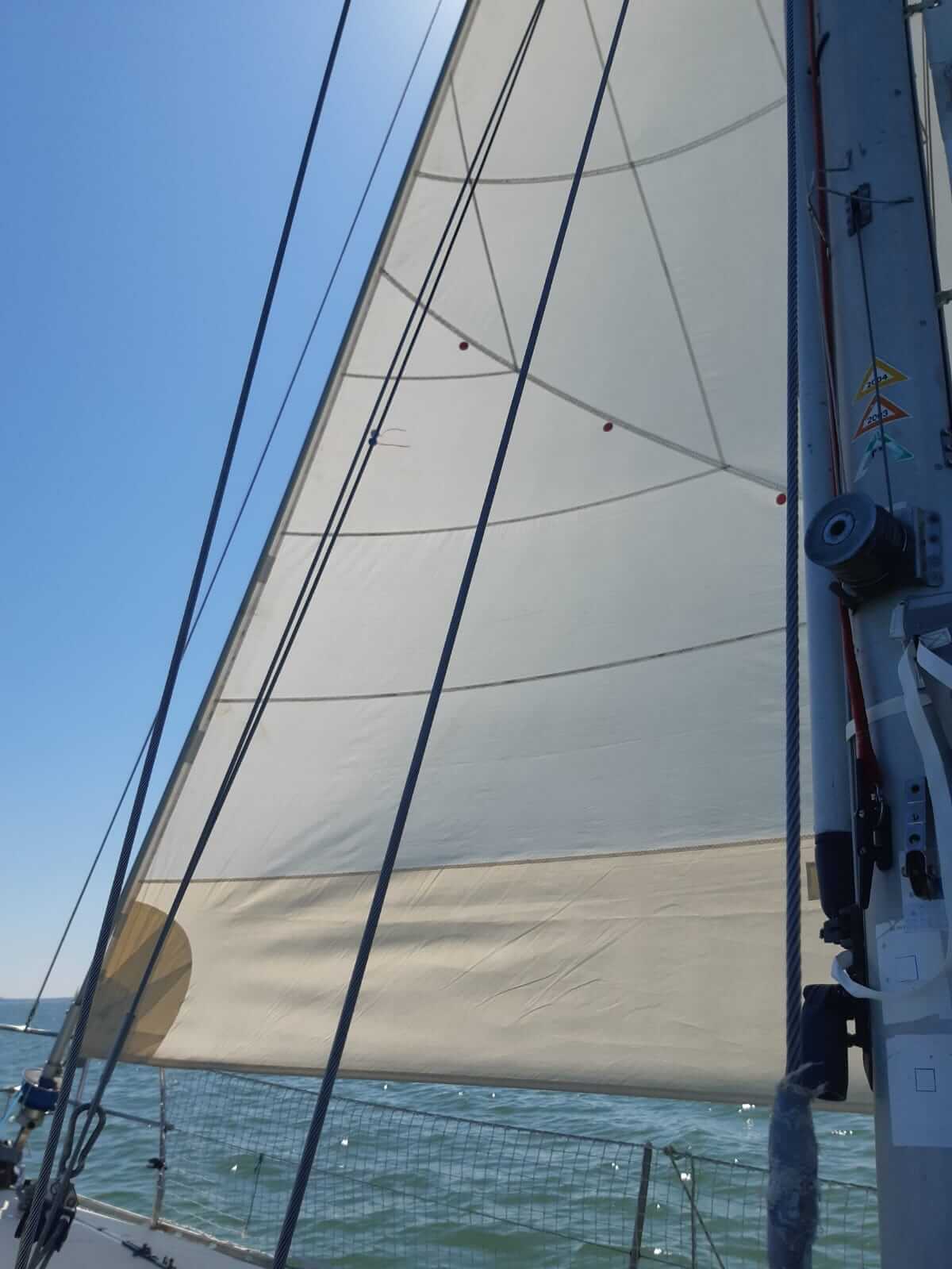 IMG 20230506 WA0036 1