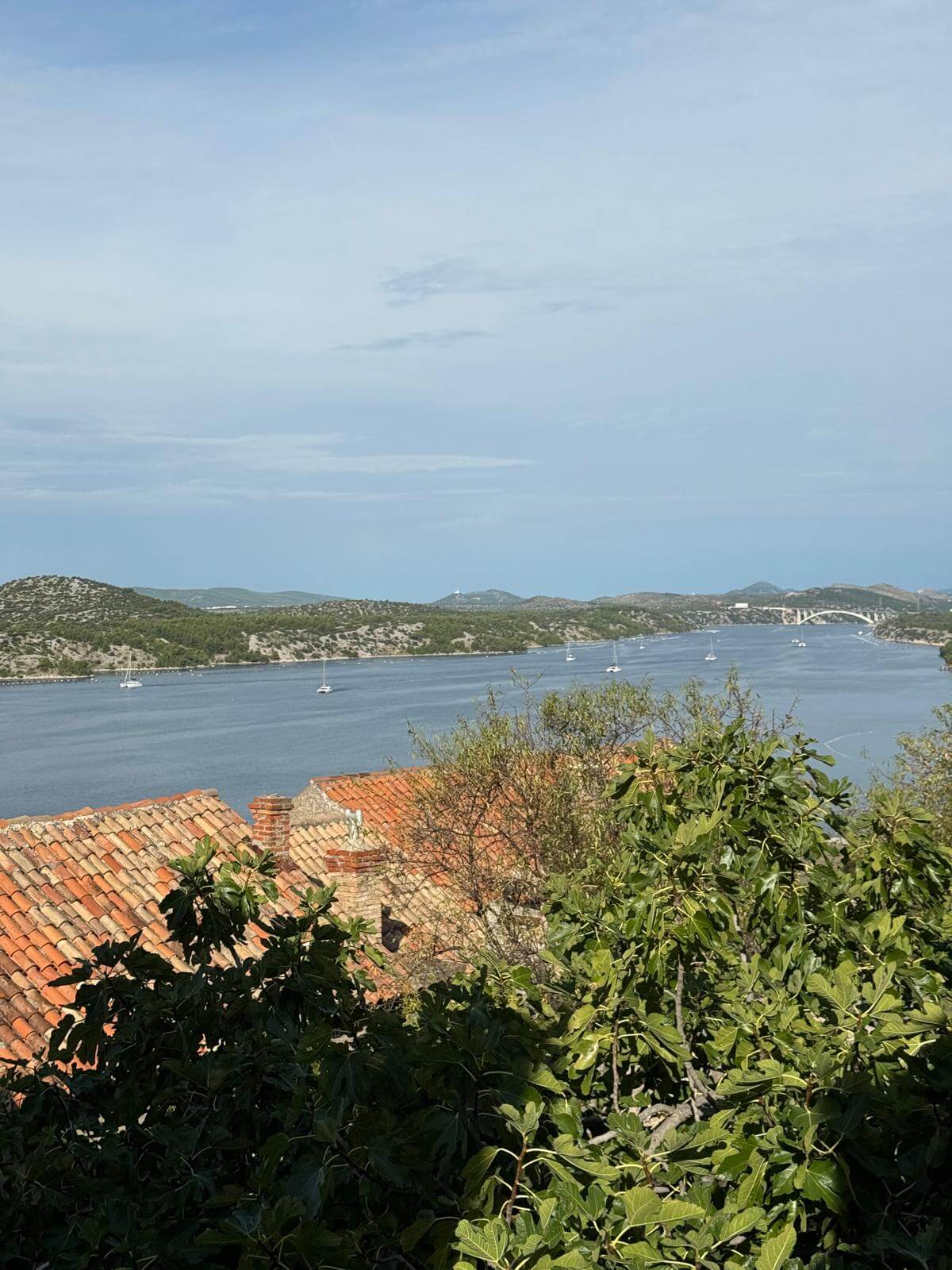 IMG 20250923 WA0002