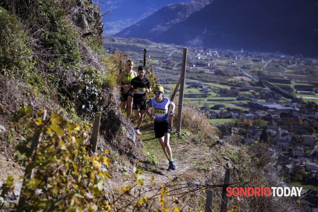 VALTELLINA WINE TRAIL   SONDRIO 8 NOVEMBRE 2025