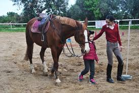 Cavalcare a Modena