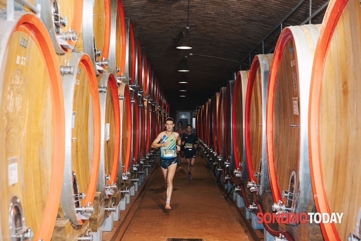 Valtellina Wine Trail                                       Sondrio 7 novembre 2026                                      13 – 21 – 42  km