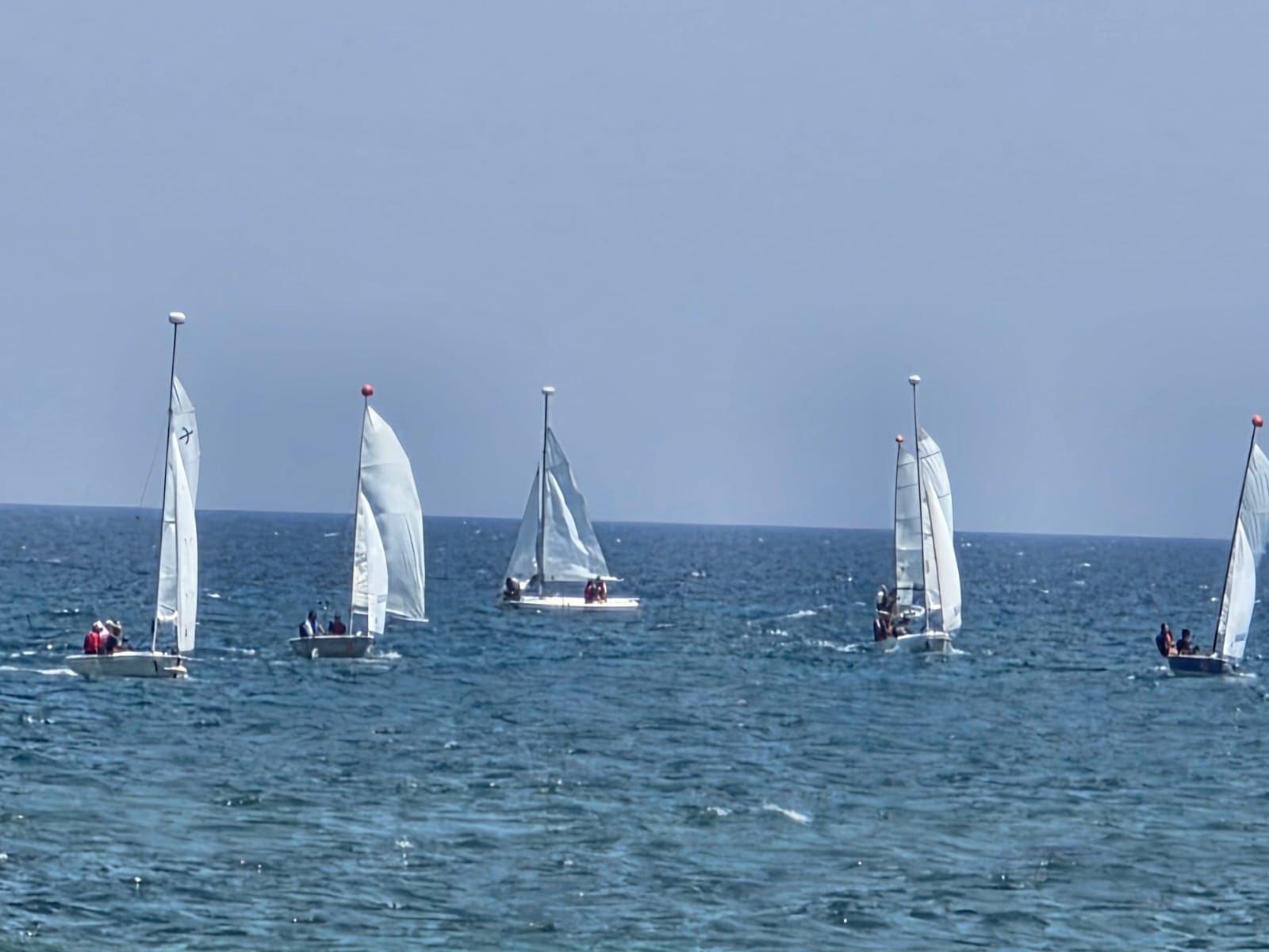 CORSI DI VELA – TORRE GUACETO 20 GIUGNO – 27 GIUGNO