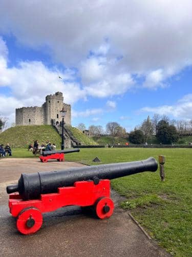 IMG 3933