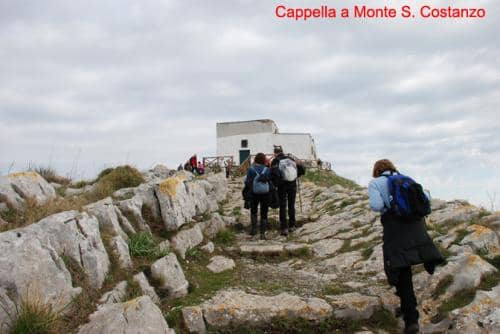 avv1