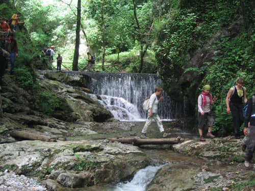 MERIDIONALE - VALLE DELLE FERRIERE