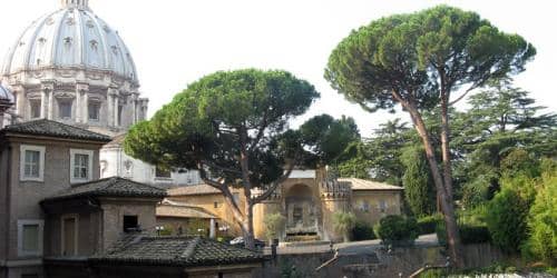 IMG 0156-850x425