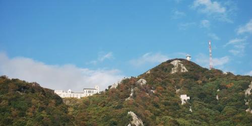 0009 resize-800x400