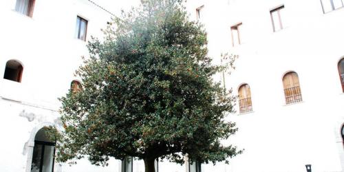 0092 resize-800x400