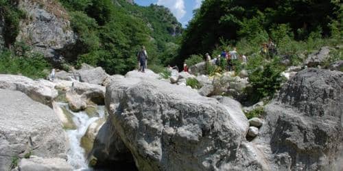 DSC 0044-644x322