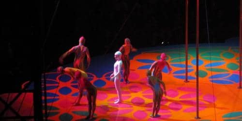 IMG 1664 ridimensionare-800x400