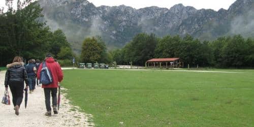IMG 1935 ridimensionare-800x400