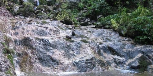 IMG 1950 ridimensionare-800x400