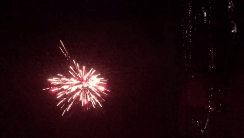 MERIDIONALE - CENONE DI FINE ANNO 2018