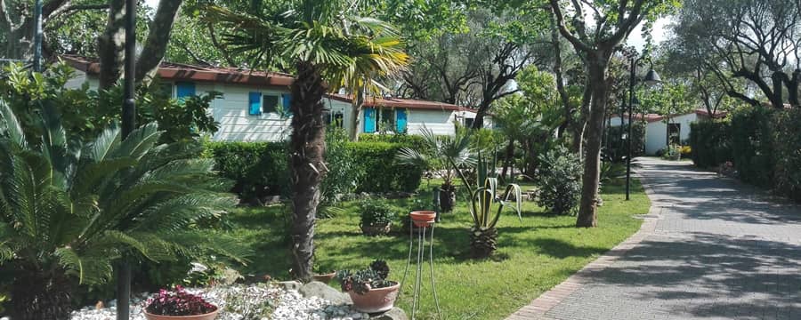 Family Village Velia Viale con abitazioni