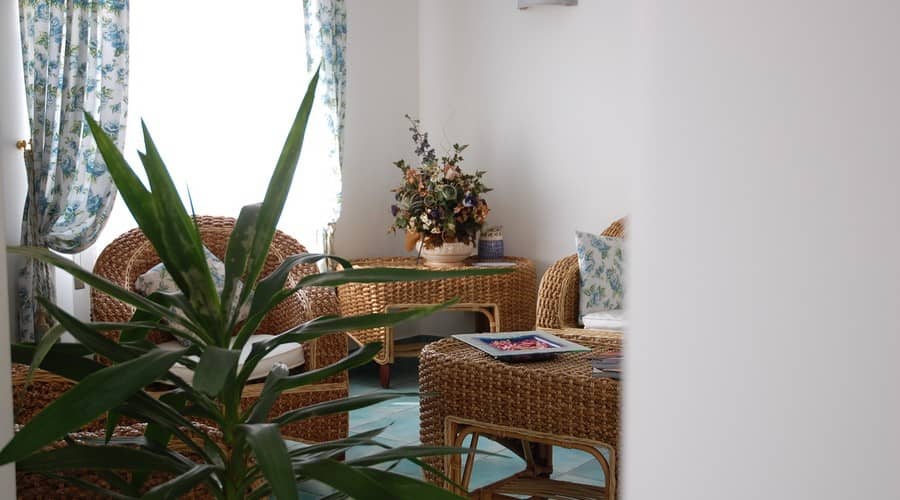 DSC 0187 resize-900x500