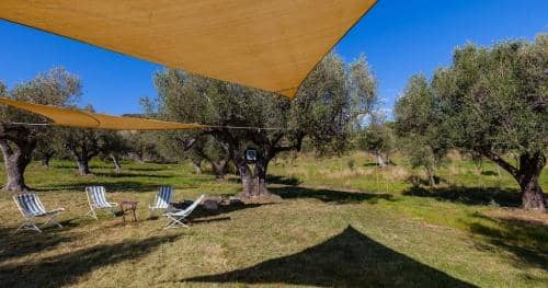 pozzo-003-1024x540