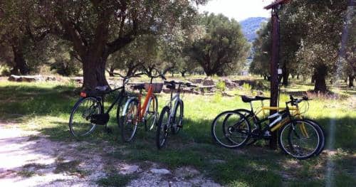 pozzo-060-915x482