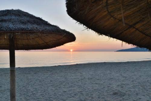 IMG 1535