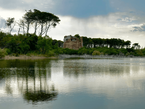 Immagine 2023-06-05 14-45-15