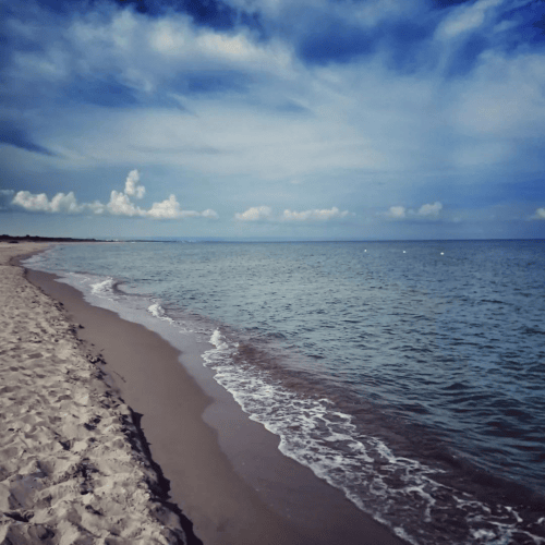 Immagine 2023-06-05 15-11-71