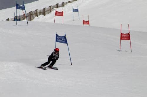 IMG 3687