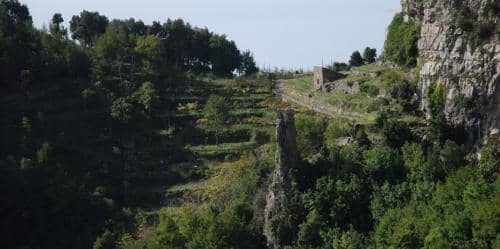 DSC_6964-929x464