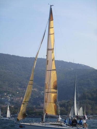 IMG 9248
