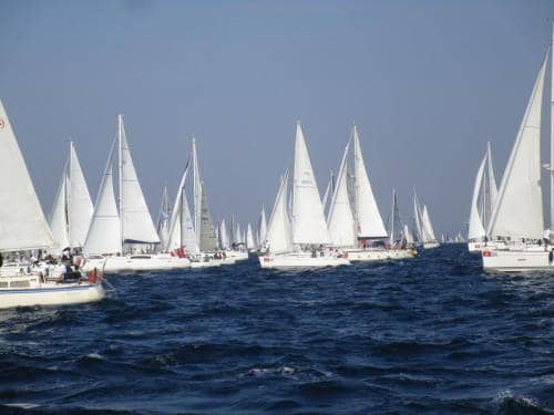 IMG 9270